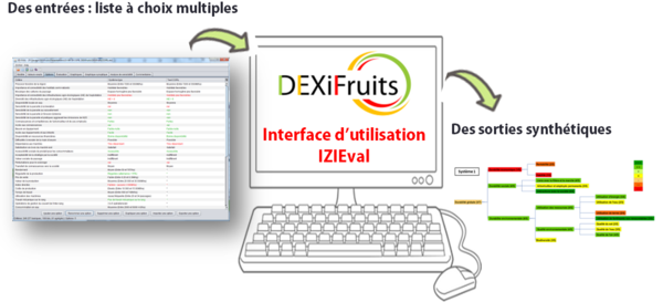 Operating procedure of the DEXifruits tool